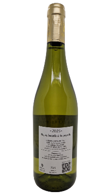 CHARDONNAY 2025